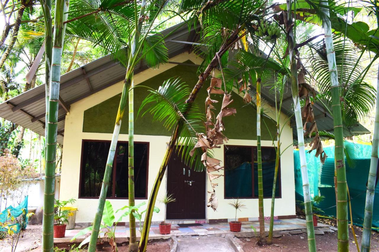 Staymaker Coorg Jungle Stay Resort Kushalnagar Exterior photo